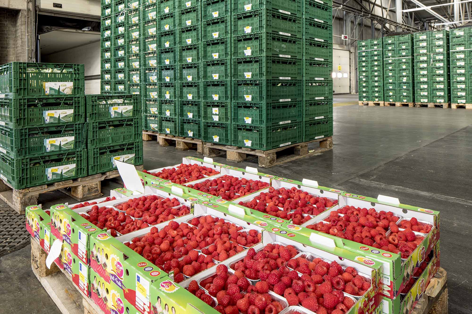 Fruit-Vegetables