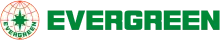 evergreen