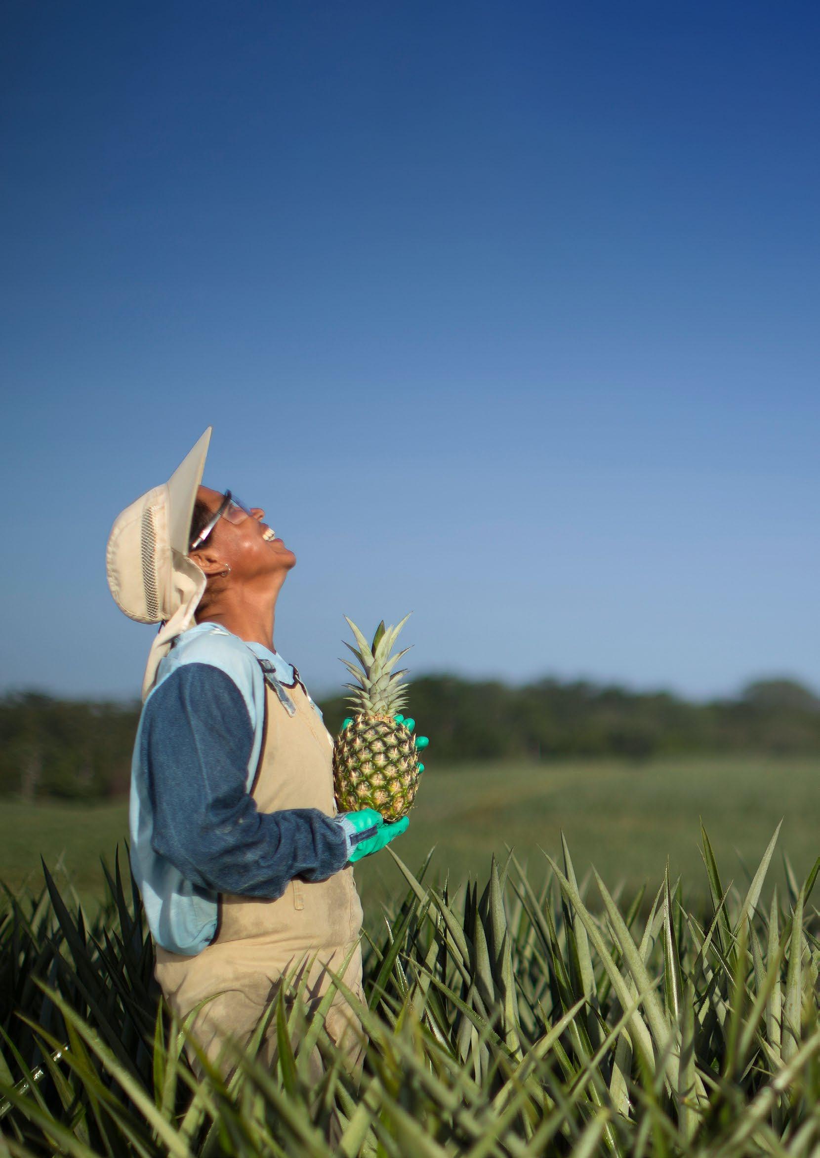 pinnaple-farmer-perishable-logistics