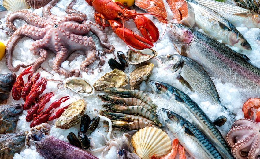 fish-and-seafood-logistics